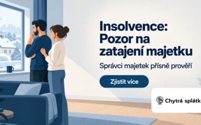 Prohlášení nemajetnosti v&nbsp;insolvenci: Jak probíhá kontrola a&nbsp;co hrozí při&nbsp;zatajení majetku