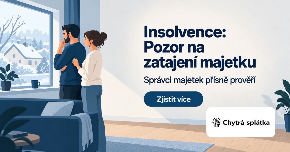 Prohlášení nemajetnosti v insolvenci: Jak probíhá kontrola a co hrozí při zatajení majetku